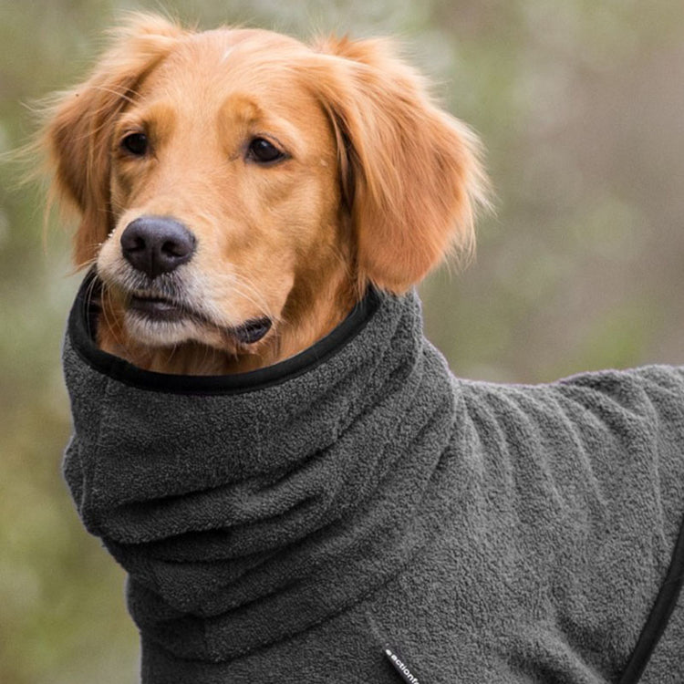 DRYUP cape | Hundebademantel - für große Hunde (Gr. L bis XXL)