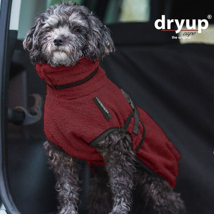 DRYUP cape Mini | Hundebademantel für kleine Hunde