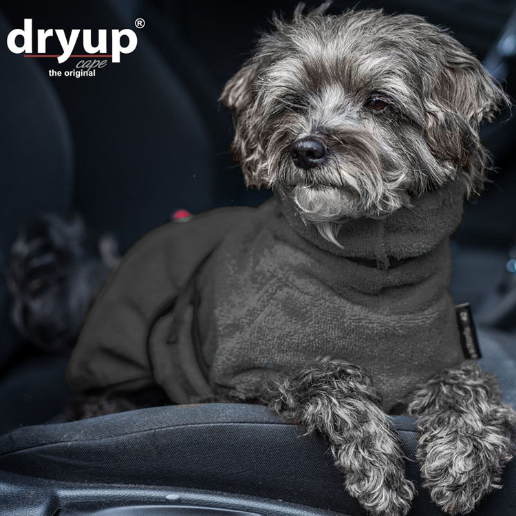DRYUP cape Mini | Hundebademantel für kleine Hunde