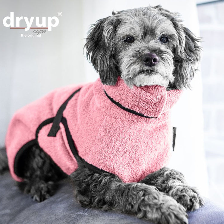DRYUP cape Mini | Hundebademantel für kleine Hunde