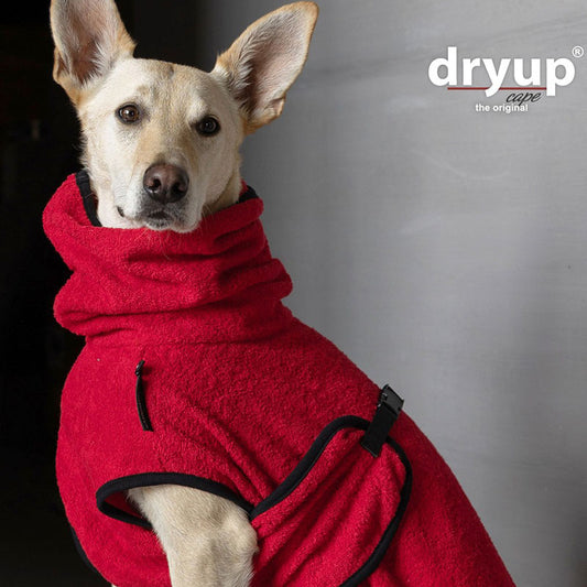 DRYUP cape | Hundebademantel - für große Hunde (Gr. L bis XXL)