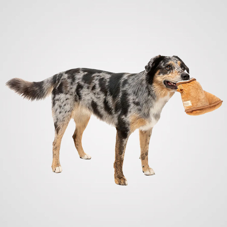 FUZZYARD - Dogg Boot | lustiges Hundespielzeug