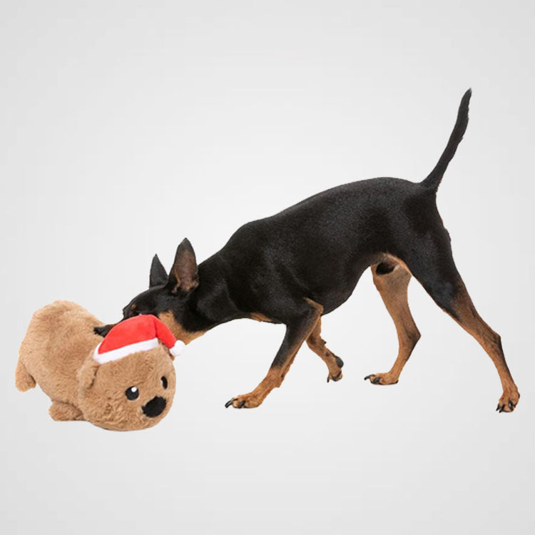 FUZZYARD - Felix-Navidad das Wombat | weihnachtliches Hundespielzeug