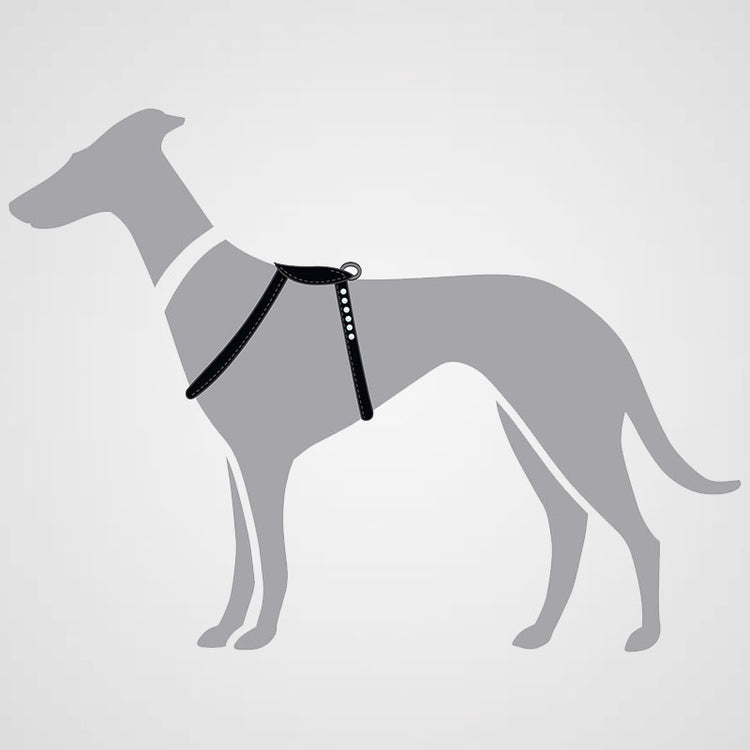 HUNTER - Geschirr Round & Soft Canadian Up | stylisches Hundegeschirr