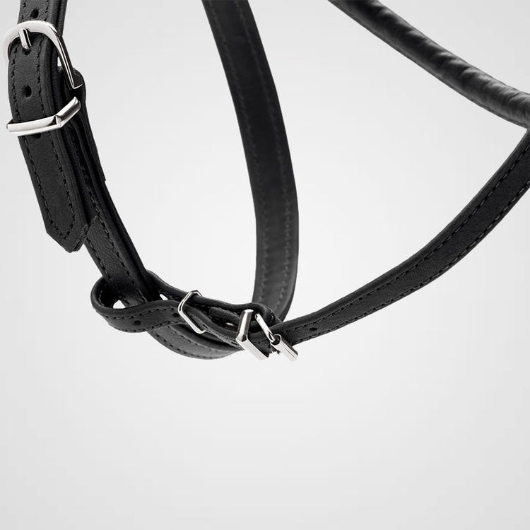 HUNTER - Geschirr Round & Soft Canadian Up | stylisches Hundegeschirr