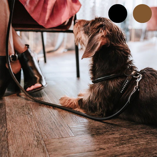 HUNTER - Geschirr Round & Soft Canadian Up | stylisches Hundegeschirr