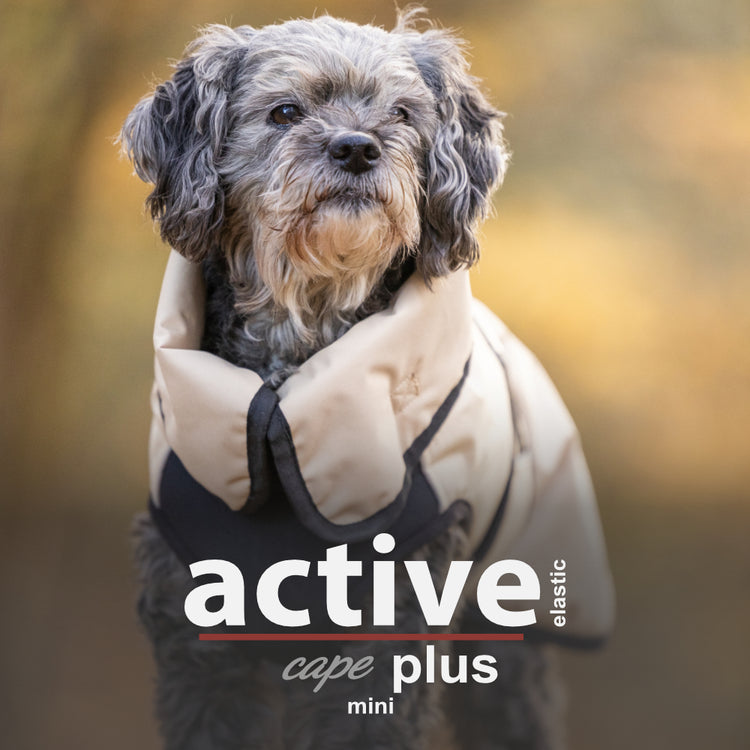 Active Cape Elastic Plus Mini | wärmender Hundemantel - wasserabweisend & atmungsaktiv