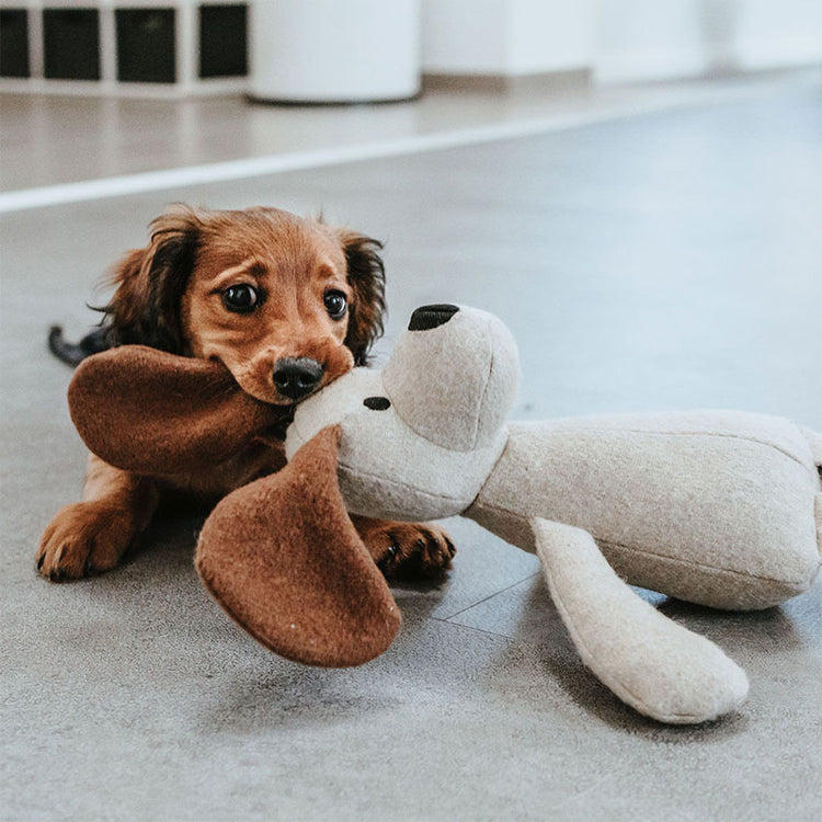 HUNTER - Marle | nachhaltiges & niedliches Hundespielzeug