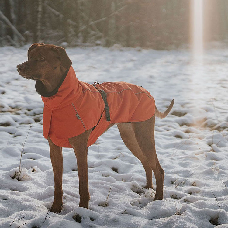HUNTER - Nordby Hundemantel | Funktionsmantel für Deinen Hund
