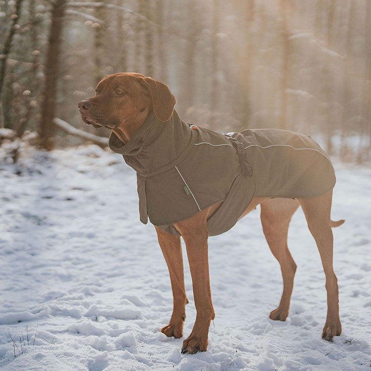 HUNTER - Nordby Hundemantel | Funktionsmantel für Deinen Hund