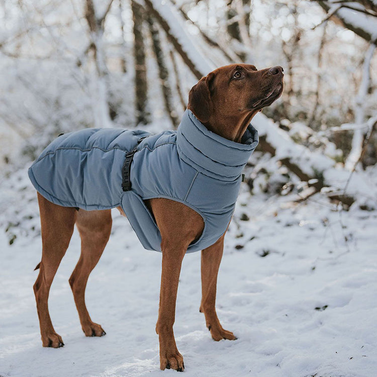HUNTER - Paxson Hundemantel | warmer Mantel für Deinen Hund