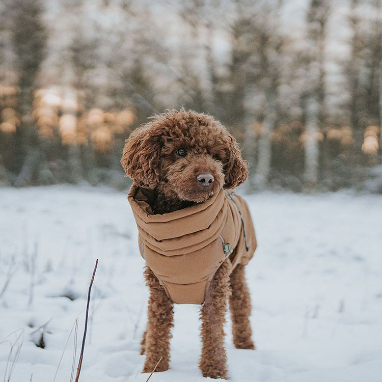 HUNTER - Paxson Hundemantel | warmer Mantel für Deinen Hund