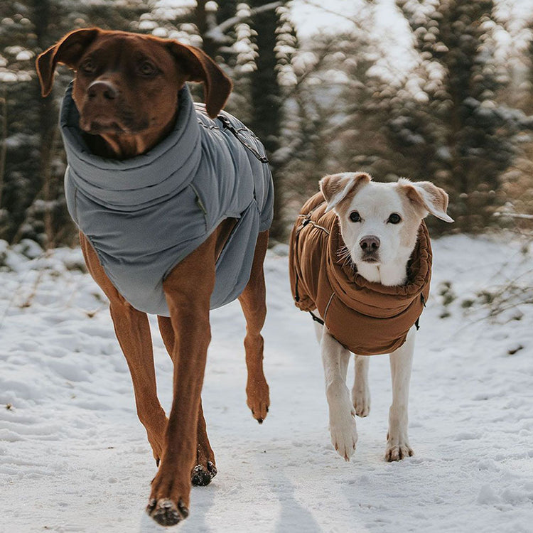 HUNTER - Paxson Hundemantel | warmer Mantel für Deinen Hund