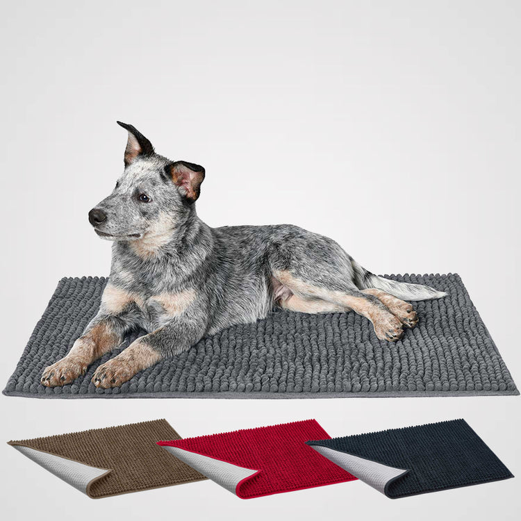 HUNTER - HUNDEMATTE WATERLOO | saugfähige Schmutzfangmatte für einen Hund