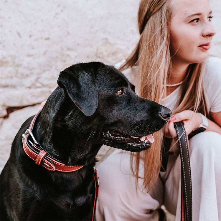 HUNTER - Canadian Up | hochwertiges Hundehalsband