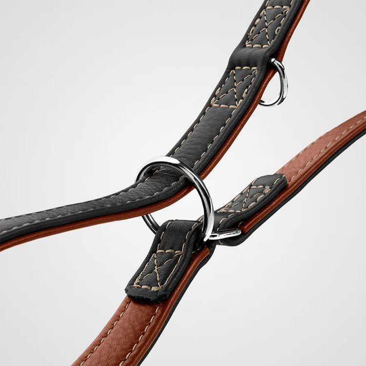 HUNTER - Canadian Up | Verstellbare Führleine - Hundeleine