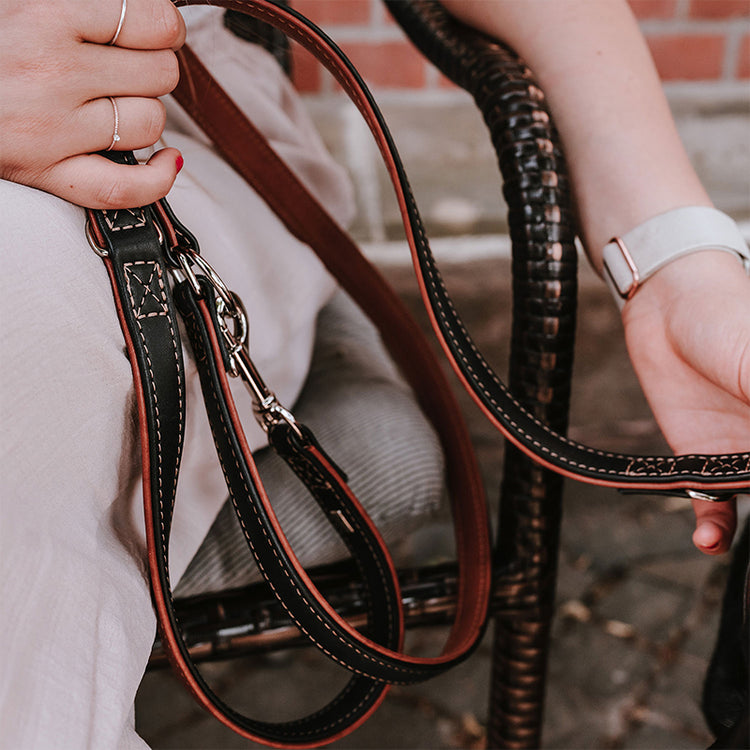 HUNTER - Canadian Up | Verstellbare Führleine - Hundeleine