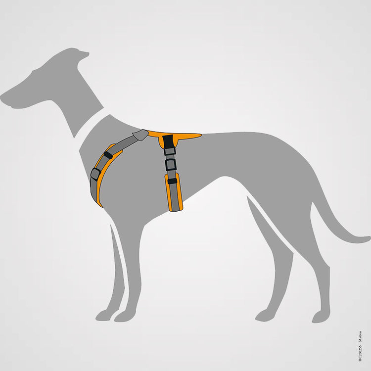 HUNTER - Geschirr Maldon Up | Hundegeschirr