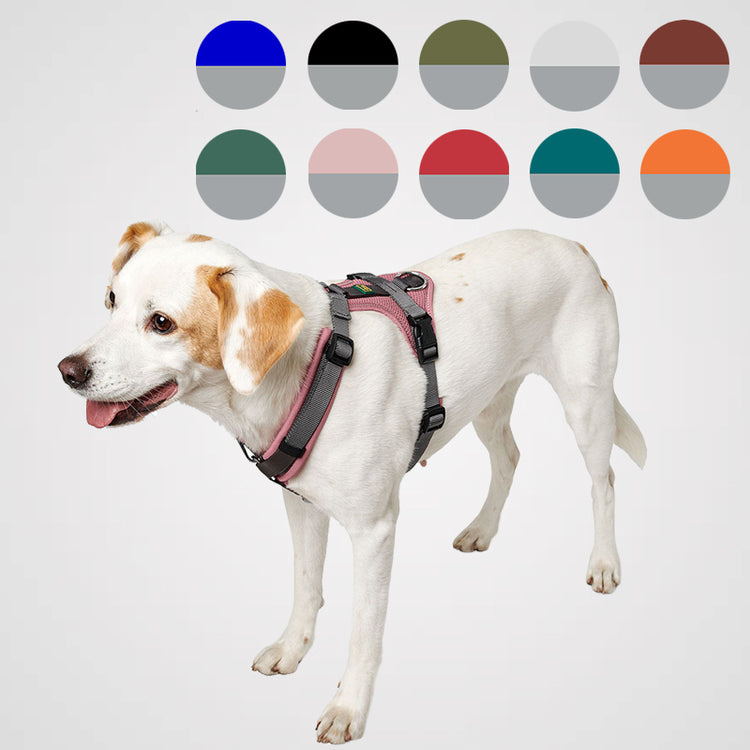 HUNTER - Geschirr Maldon Up | Hundegeschirr