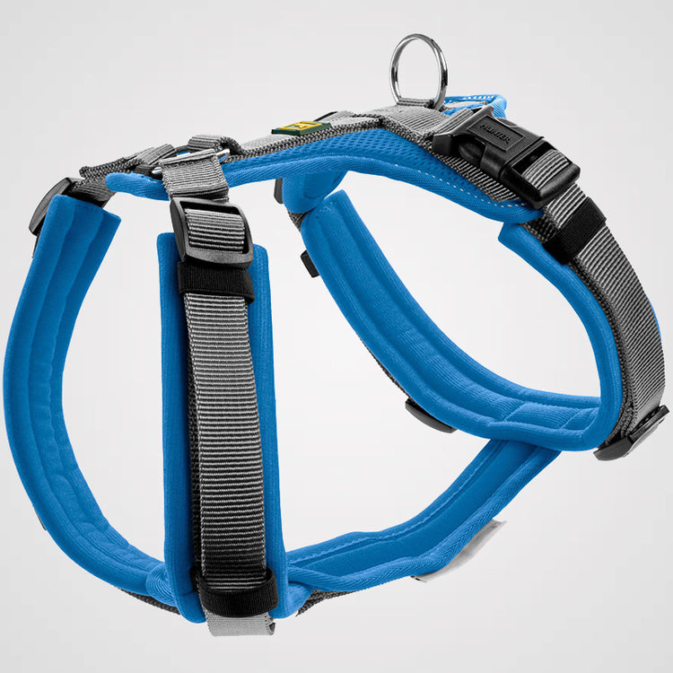 HUNTER - Geschirr Maldon Up | Hundegeschirr