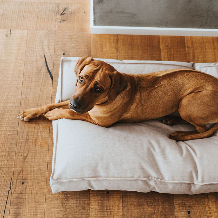 HUNTER Inari - Hundekissen | Schlafplatz für Hunde