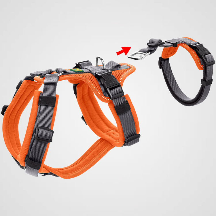 HUNTER - Maldon | Sicherheitsgeschirr für Deinen (Angst-) Hund