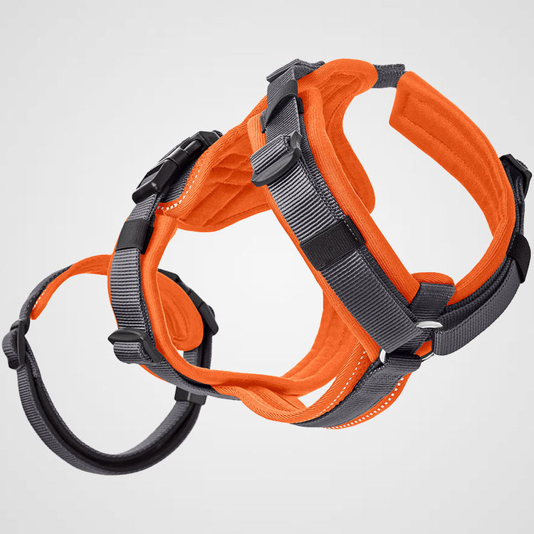 HUNTER - Maldon | Sicherheitsgeschirr für Deinen (Angst-) Hund