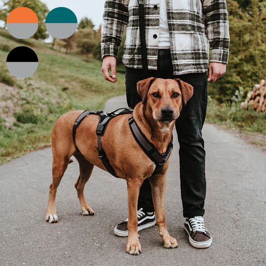 HUNTER - Maldon | Sicherheitsgeschirr für Deinen (Angst-) Hund