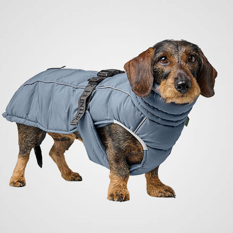 HUNTER - Paxson Dackel Hundemantel | warmer Mantel für Deinen Hund