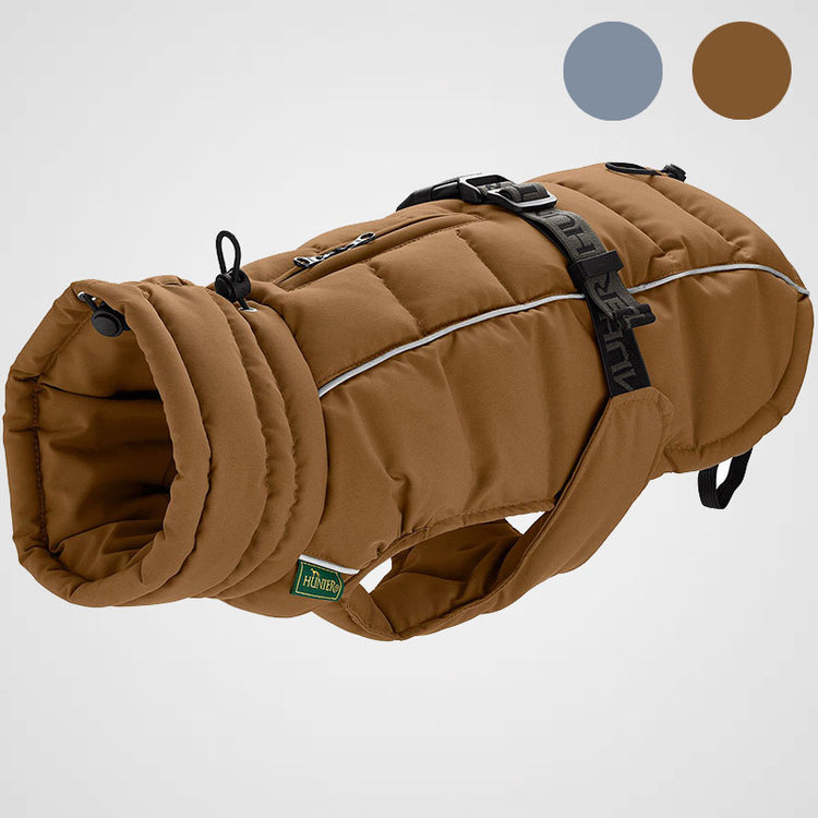 HUNTER - Paxson Mops & Co. Hundemantel | Funktionsmantel für kompakten Körperbau