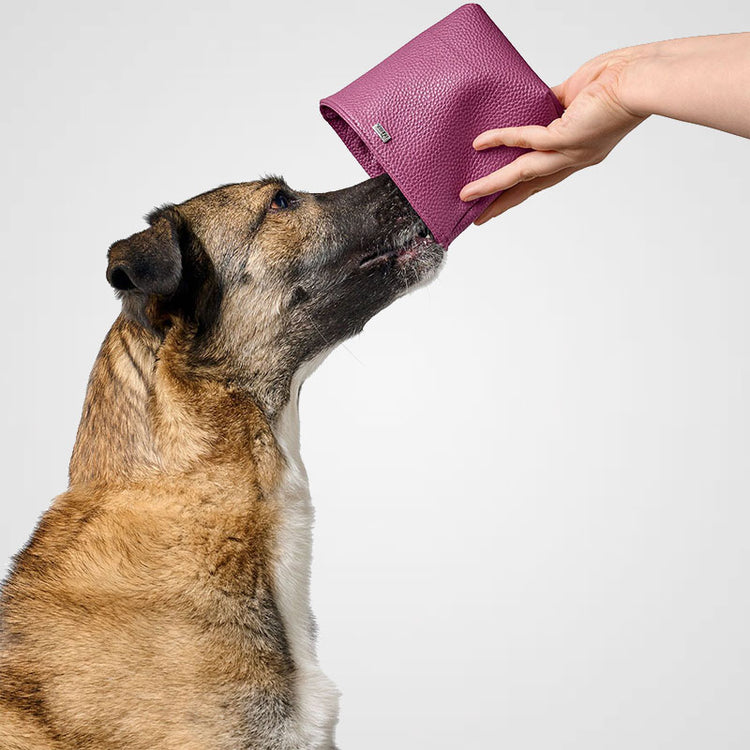 HUNTER - Sofia | Snackbeutel - Futterbeutel für Deinen Hund