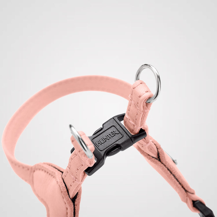 HUNTER - Soho Mini | Hundegeschirr für Welpen und kleine Hunde