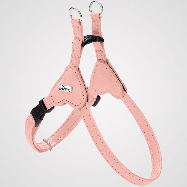 HUNTER - Soho Mini | Hundegeschirr für Welpen und kleine Hunde