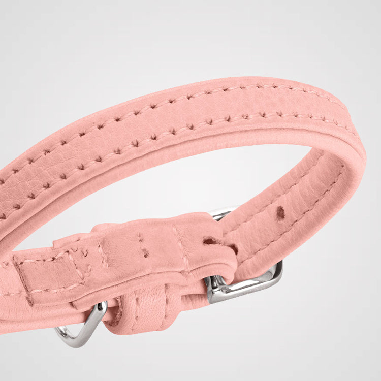 HUNTER - Soho Mini | Hundehalsband für kleine Hunde