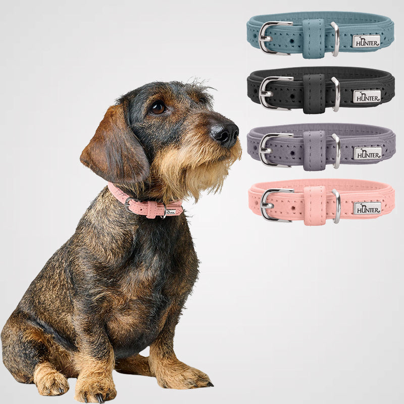 Hunter Soho Mini Halsband Cognac | Für kleine Hunde | Mein Tierdiscount Hunter Soho Mini Halsband Cognac | Für kleine Hunde | Mein Tierdiscount