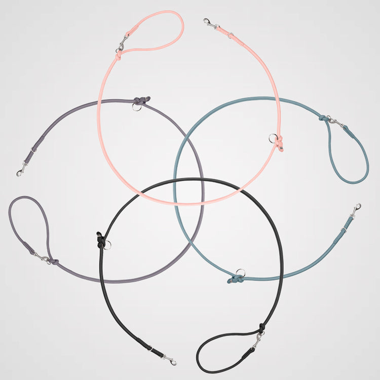 HUNTER - Soho Round Mini Hundeleine | Verstellbare Führleine für kleine Hunde