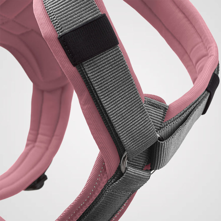 HUNTER - Geschirr Maldon Up | Hundegeschirr