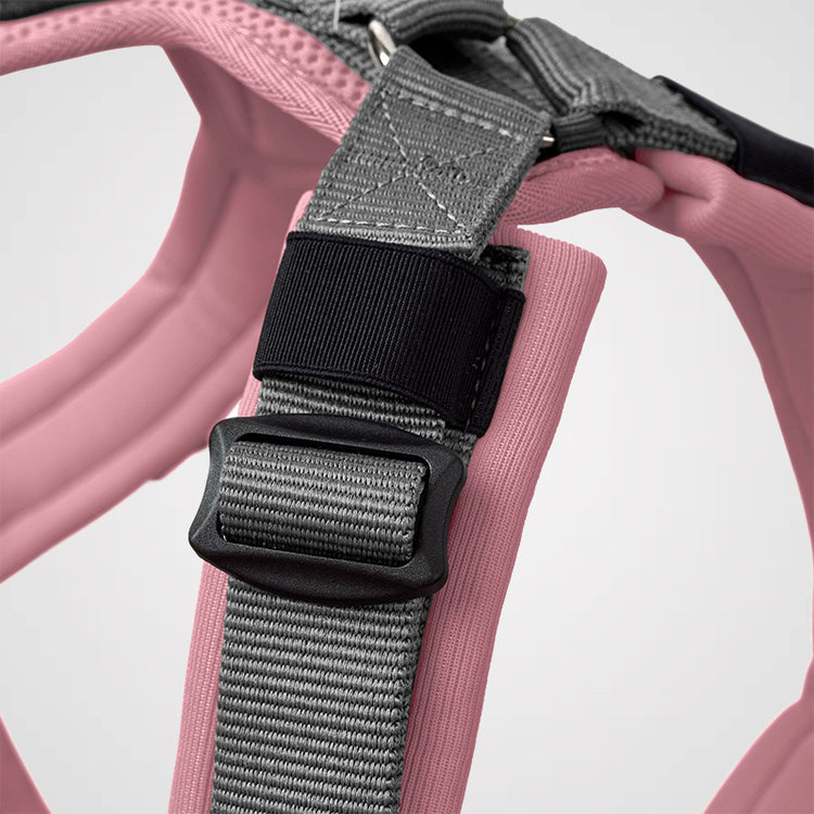 HUNTER - Geschirr Maldon Up | Hundegeschirr