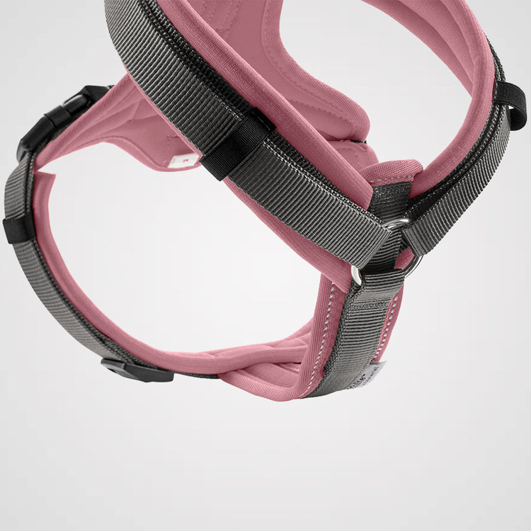 HUNTER - Geschirr Maldon Up | Hundegeschirr