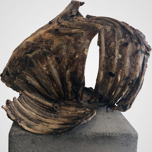 Knusprige Rehrippen | Premium-Kauartikel für Deinen Hund