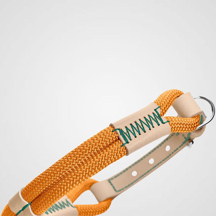 HUNTER - Halsband Malia | hochwertiges Hundehalsband