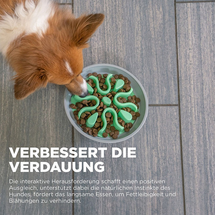 Outward Hound - FUN FEEDER WOBBLE SLO-BOWL | Antischlingnapf für Deinen Hund