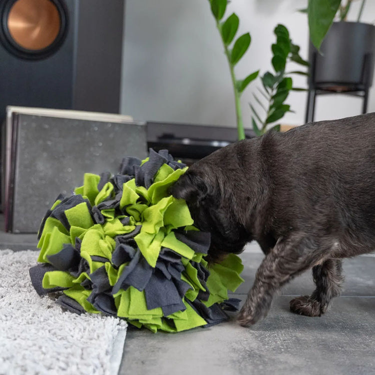 Schnüffelball | Herausfordernder Schnüffelspaß für Deinen Hund