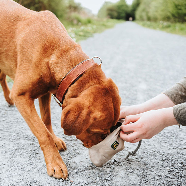 HUNTER - Snack Dummy| Befüllbares Apportierspielzeug für Hunde