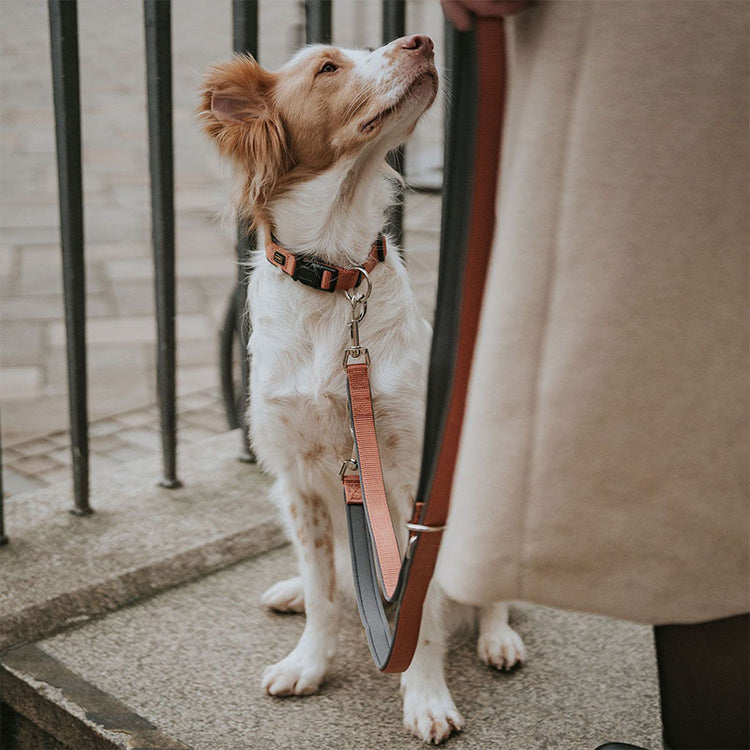 HUNTER - Neopren | Verstellbare Führleine - Hundeleine
