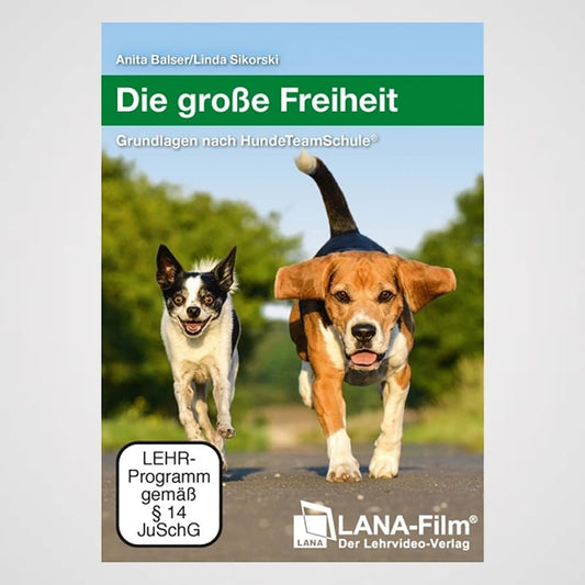 (1) Die große Freiheit