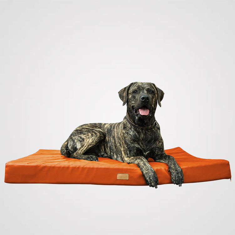 HeimatHund - Boxspring Pad | handgefertigte Hundematte