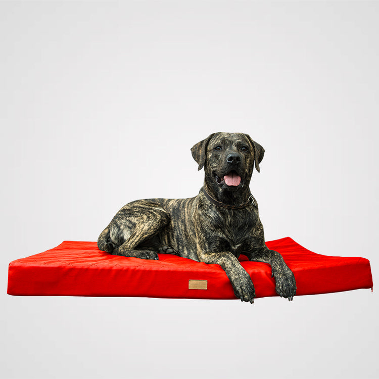 HeimatHund - Boxspring Pad | handgefertigte Hundematte
