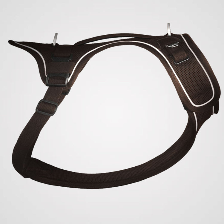 CURLI Belka Galerie 1