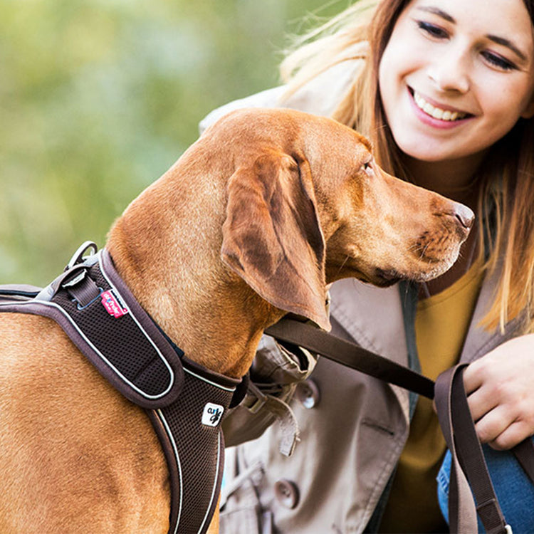 CURLI Belka Galerie 2